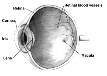 Saperne di più sulla chirurgia del glaucoma in Emilia Romagna